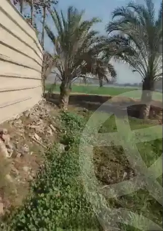 https://aqarmap.com.eg/en/listing/5946392-for-sale-sharqia-hihya-el-salamon