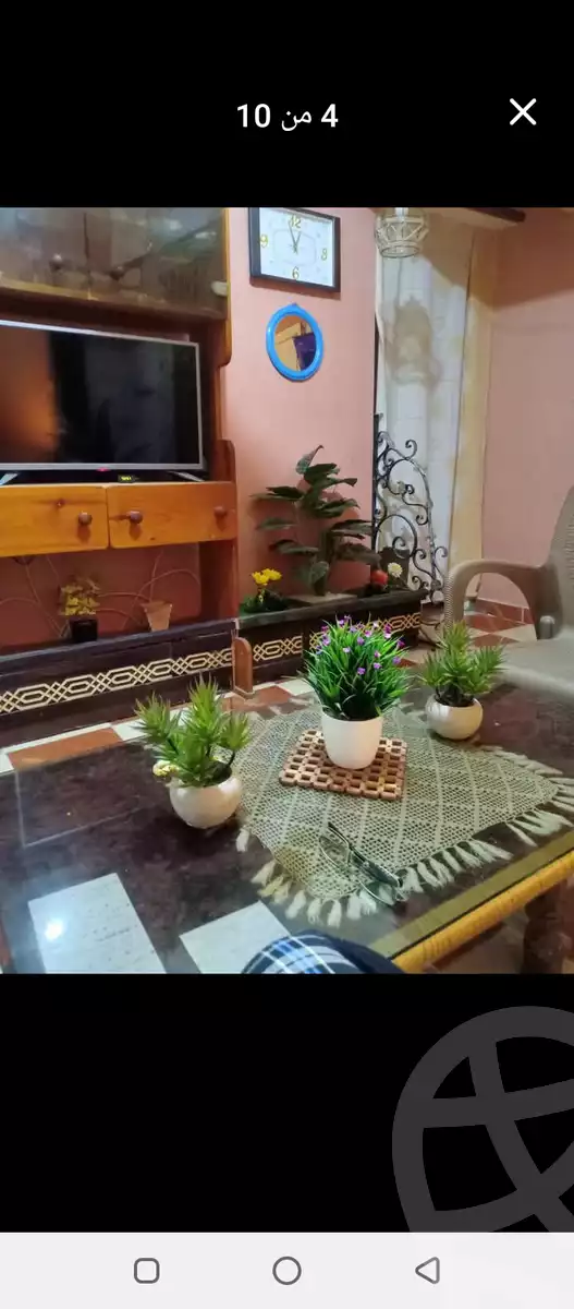https://aqarmap.com.eg/ar/listing/5947431-for-sale-alexandria-l-jmy-lbytsh-bianchiii
