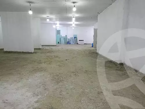 https://aqarmap.com.eg/en/listing/5948323-for-rent-alexandria-ganaklis-shr-bw-qyr-tryq-lhry