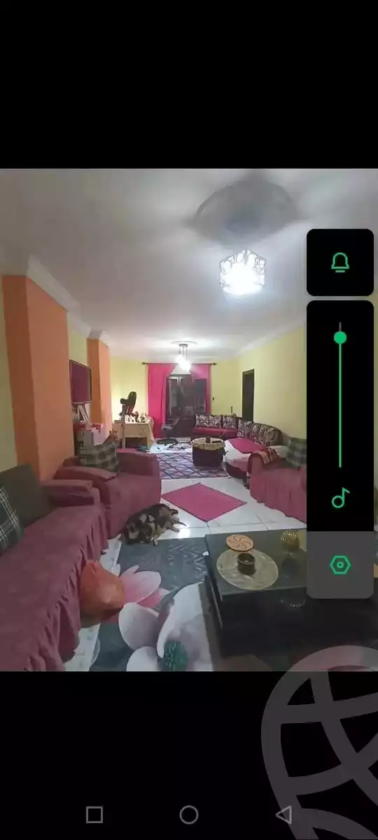 https://aqarmap.com.eg/ar/listing/5948595-for-sale-alexandria-l-jmy-lbytsh-al-samalehy-2-st