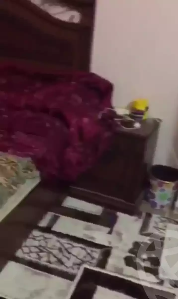 https://aqarmap.com.eg/en/listing/5952439-for-rent-cairo-el-maadi