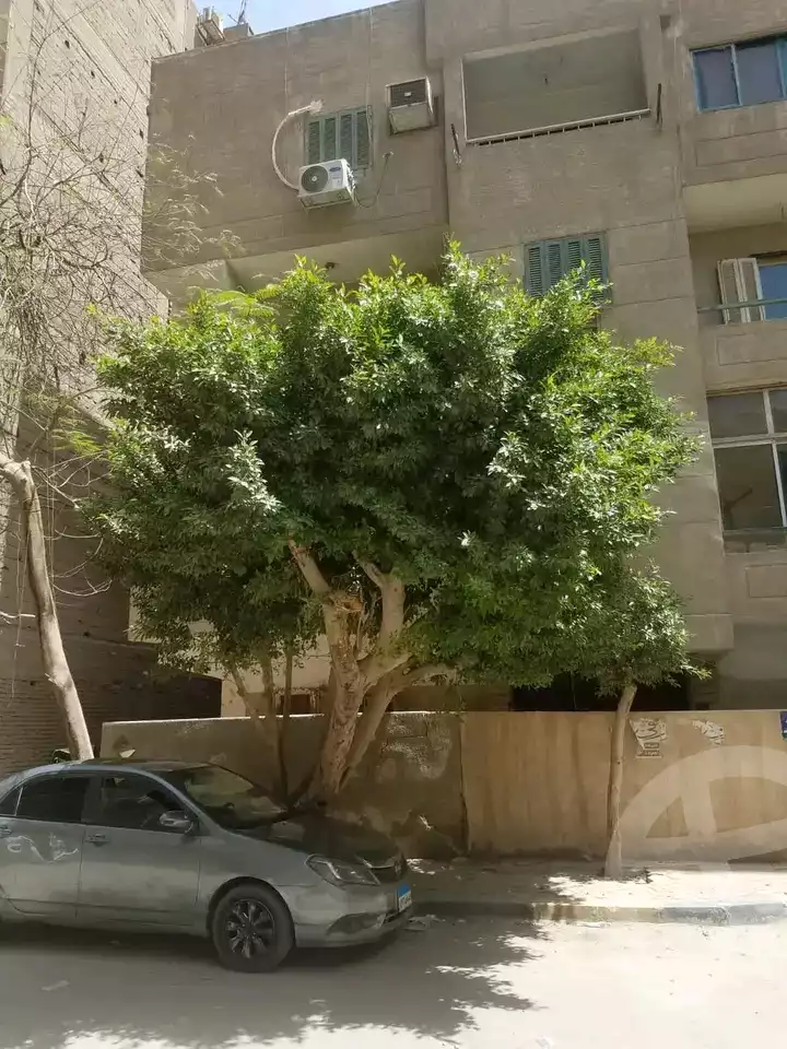 https://aqarmap.com.eg/en/listing/5952451-for-sale-cairo-el-haram-shareaa-khatem-el-morsalen