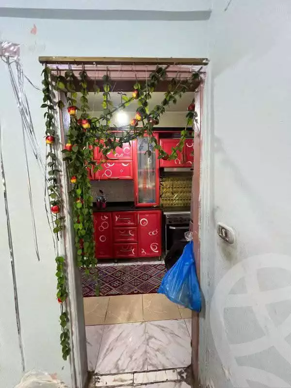 https://aqarmap.com.eg/en/listing/5953022-for-sale-alexandria-l-jmy-lbytsh-khalil-ballw-st