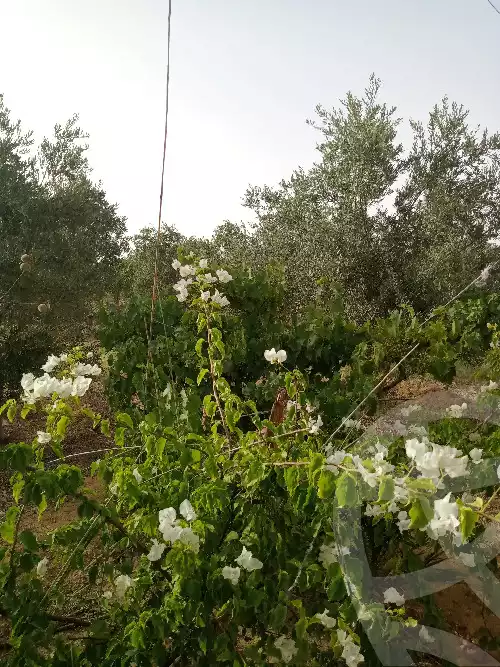 https://aqarmap.com.eg/ar/listing/5953019-for-sale-suez-el-ganain-geneffe