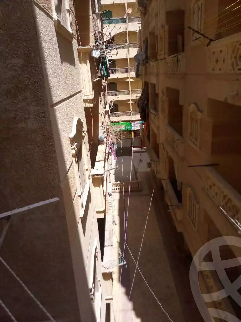 https://aqarmap.com.eg/en/listing/5953184-for-sale-alexandria-l-jmy-el-hanouvel