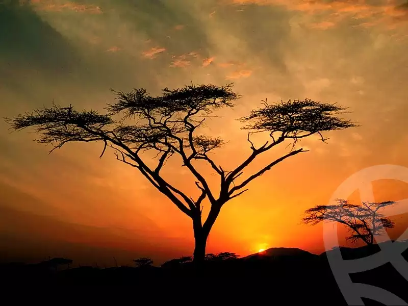 https://aqarmap.com.eg/en/listing/5955862-for-sale-gharbia-tanta-cairo-alexandria-agriculture-rd