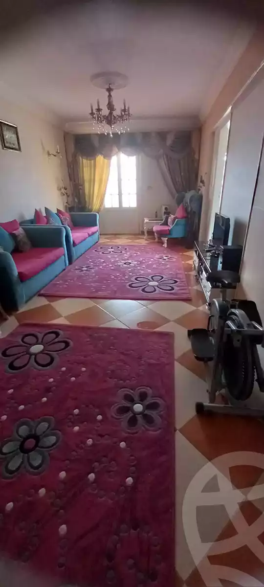 https://aqarmap.com.eg/ar/listing/5956650-for-rent-alexandria-miami-mahmoud-el-isawy-st