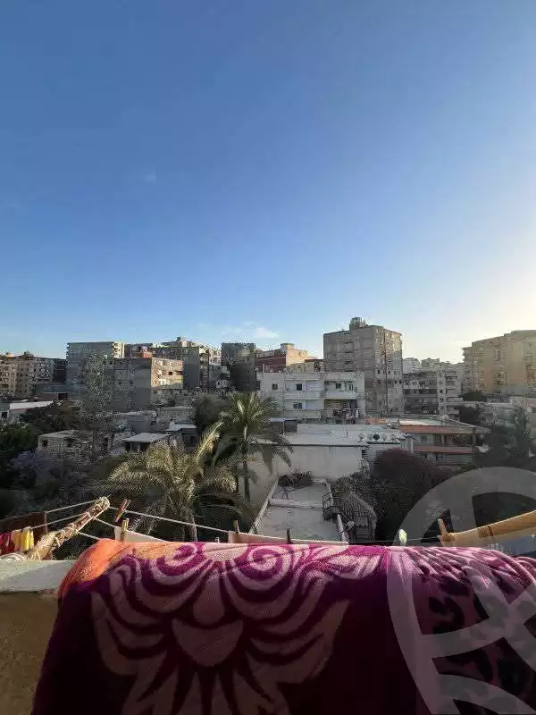 https://aqarmap.com.eg/en/listing/5957293-for-sale-alexandria-l-jmy-lbytsh-khalil-ballw-st