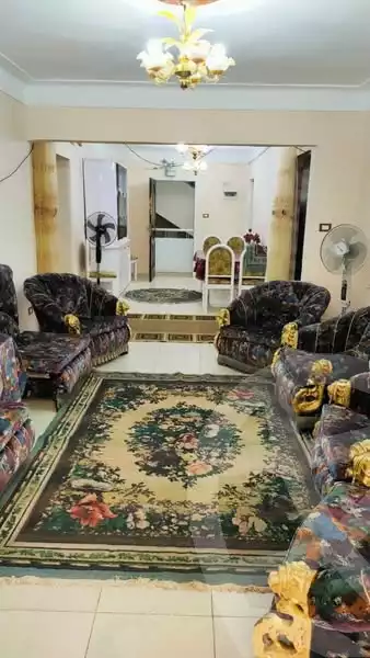 https://aqarmap.com.eg/en/listing/5957349-for-rent-alexandria-miami