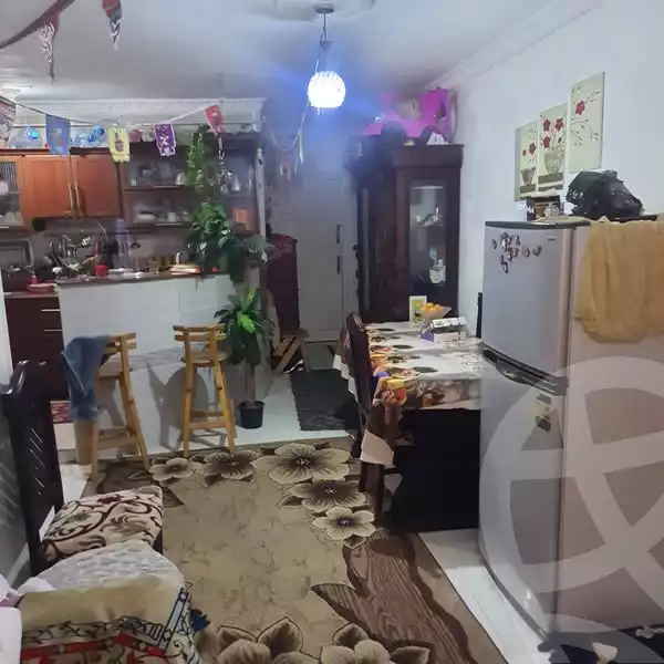 https://aqarmap.com.eg/ar/listing/5957969-for-sale-alexandria-l-jmy-lbytsh-al-samalehy-2-st