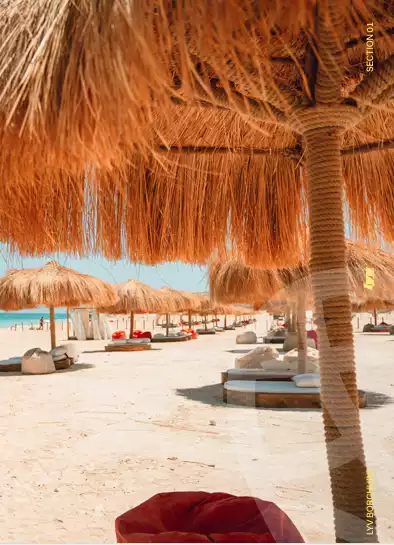 https://aqarmap.com.eg/en/listing/5961039-for-sale-north-coast-resorts-lyv-resort-gates