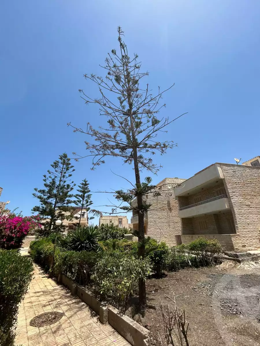 https://aqarmap.com.eg/en/listing/5964848-for-sale-north-coast-resorts