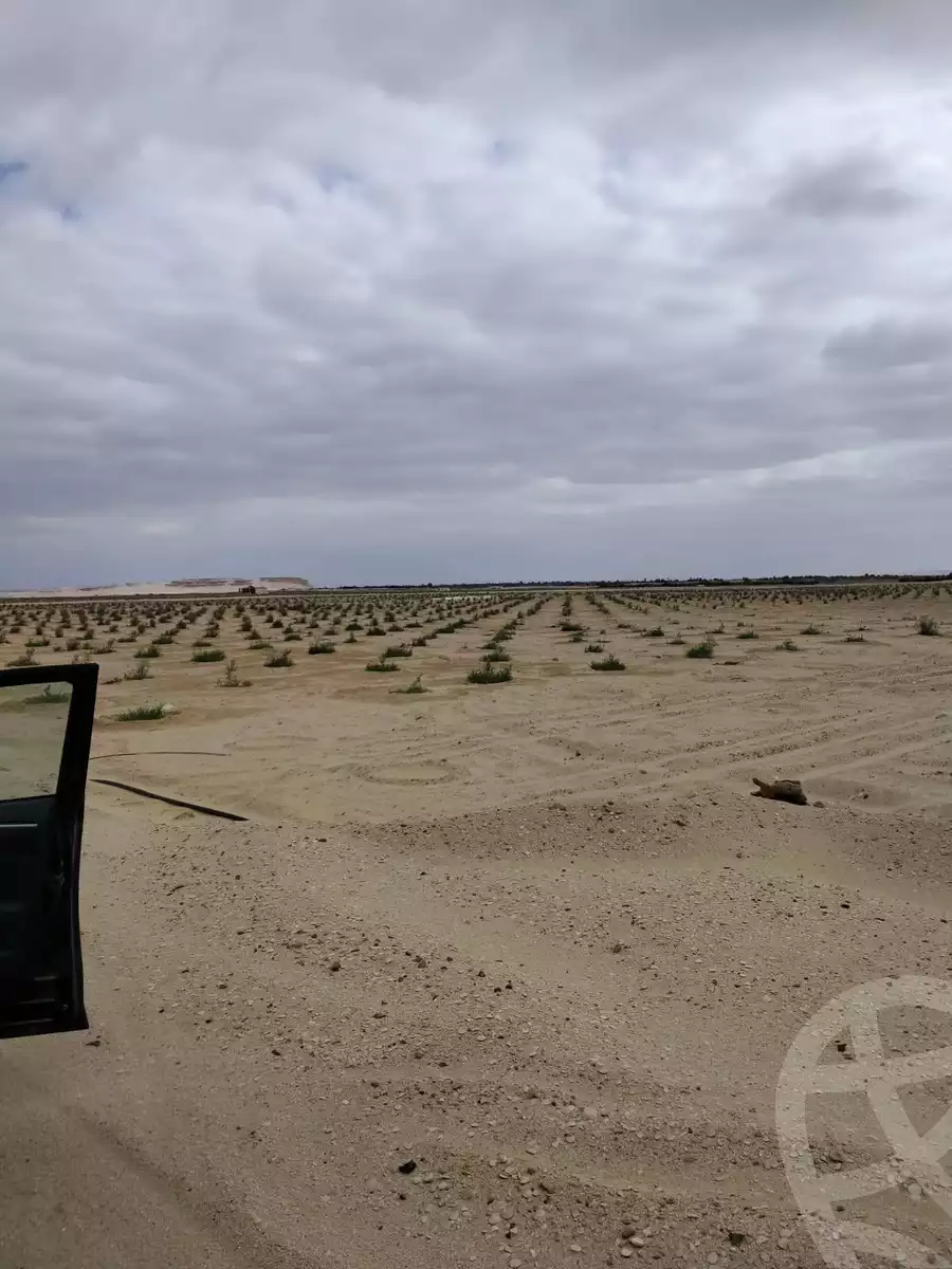 https://aqarmap.com.eg/en/listing/5965052-for-sale-el-fayoum-yousef-el-sedeeq-wady-el-rayan