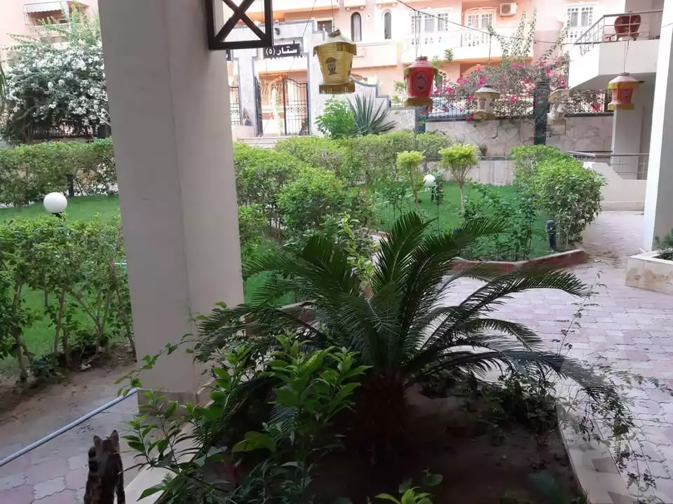 https://aqarmap.com.eg/en/listing/5975338-for-rent-cairo-mokattam-el-hadabah-el-wosta-6th-zone-salah-eldeen-alayobi-st