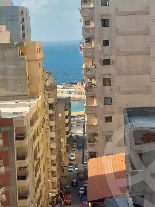 https://aqarmap.com.eg/en/listing/5895859-for-rent-alexandria-miami-mohammed-galal-hammad-st