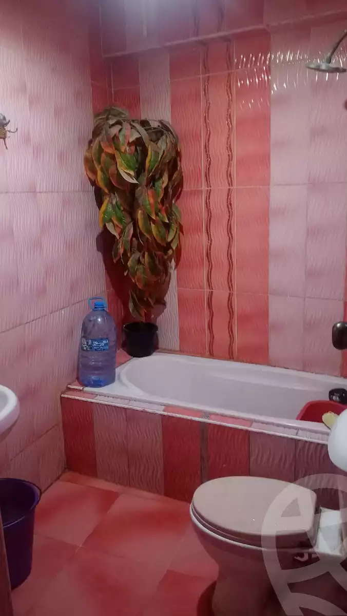 https://aqarmap.com.eg/en/listing/5978926-for-rent-alexandria-l-jmy-lbytsh-el-hanafeya-st