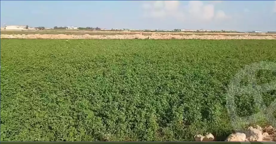 https://aqarmap.com.eg/en/listing/5979694-for-sale-alexandria-el-amreya