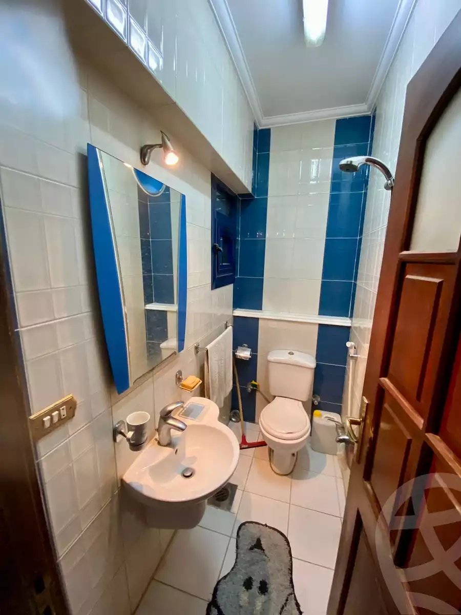 https://aqarmap.com.eg/en/listing/5981486-for-rent-cairo-nasr-city-10th-zone