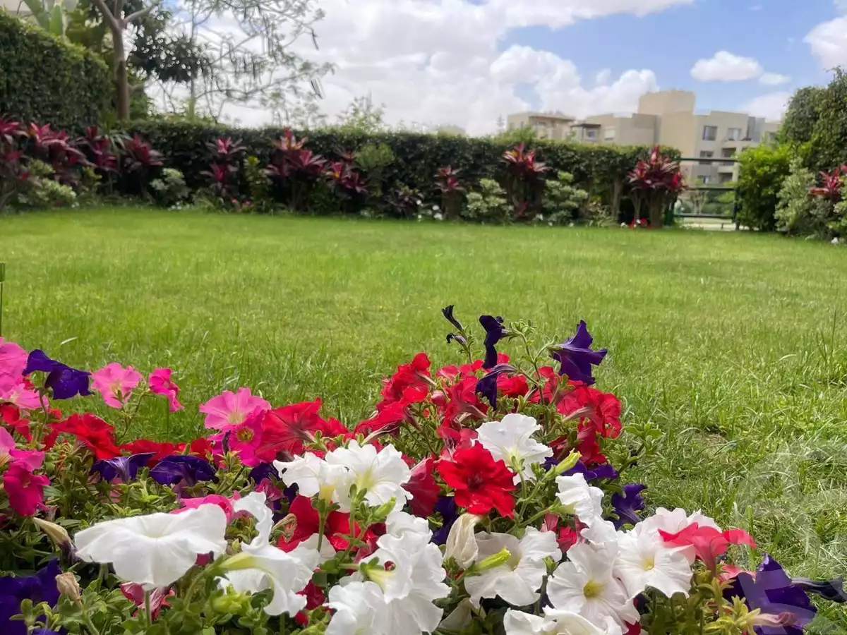 https://aqarmap.com.eg/ar/listing/5986582-for-rent-cairo-6th-of-october-compounds-palm-parks