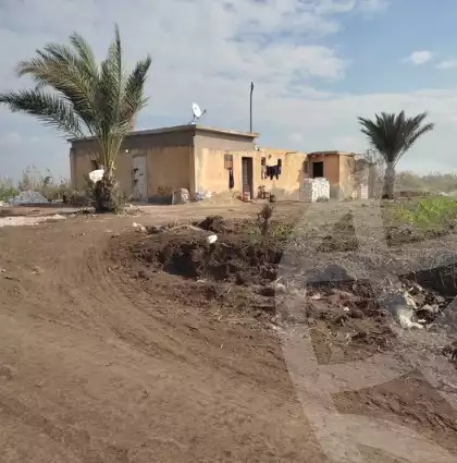 https://aqarmap.com.eg/en/listing/5987930-for-sale-kafr-el-sheikh-el-hamool-el-hamoul-city