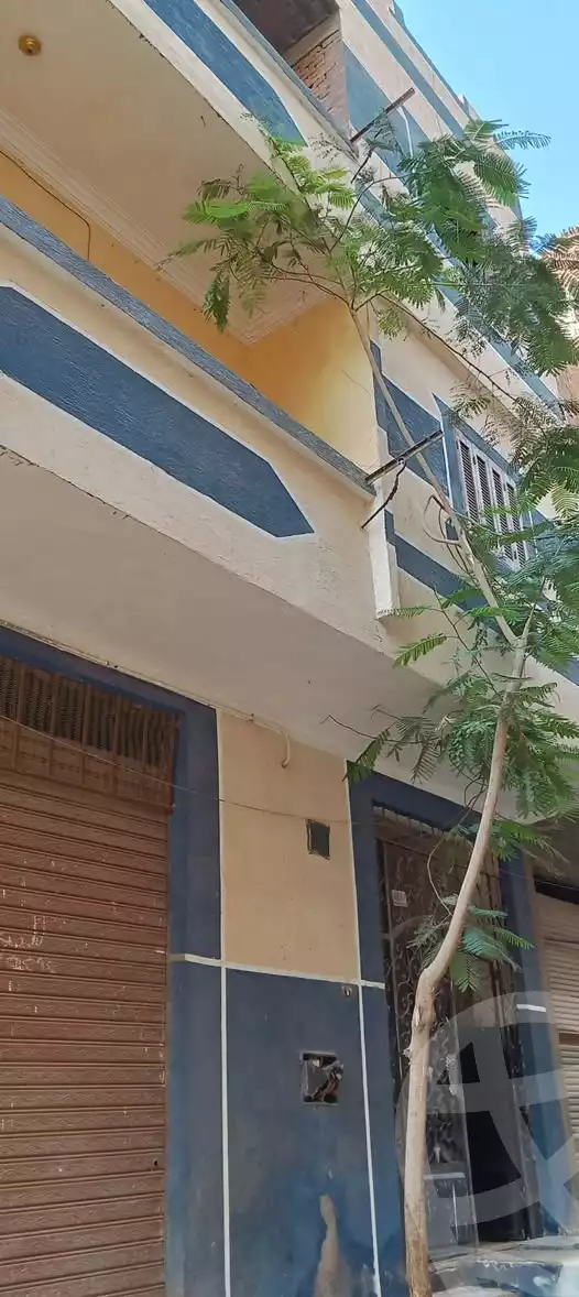 https://aqarmap.com.eg/en/listing/5991482-for-sale-cairo-el-marg-mohamed-nageb