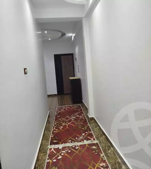 https://aqarmap.com.eg/en/listing/5993656-for-rent-aswan