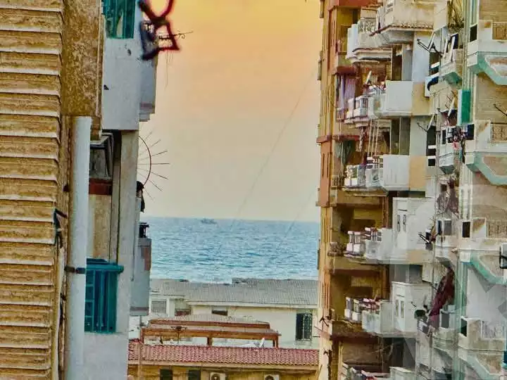 https://aqarmap.com.eg/en/listing/5994157-for-sale-alexandria-l-jmy-shataa-el-nakheel
