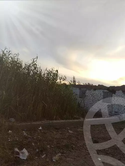 https://aqarmap.com.eg/en/listing/5996949-for-sale-dakahlia-el-mansoura-gamasa-road