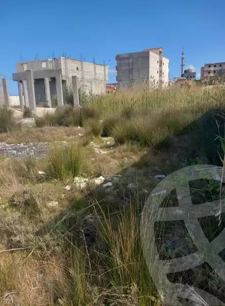 https://aqarmap.com.eg/en/listing/5998360-for-sale-alexandria-l-jmy