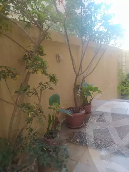 https://aqarmap.com.eg/en/listing/5998400-for-sale-cairo-new-cairo-el-ahyaa-fourth-neighborhood-street-6