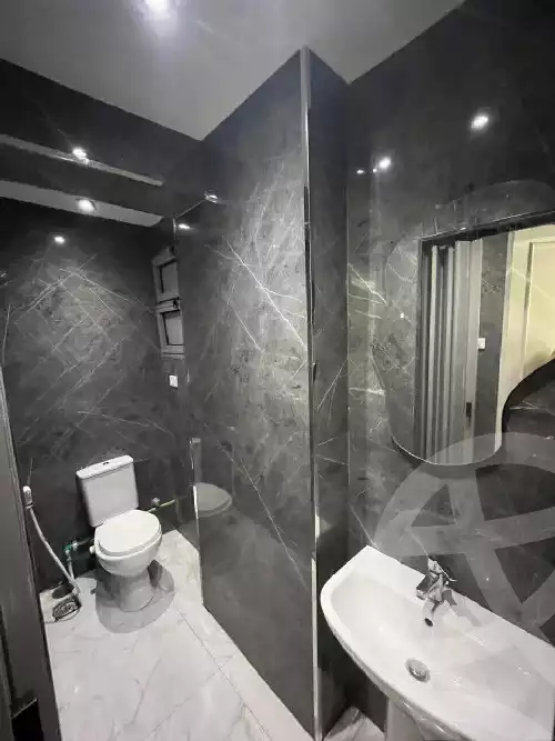 https://aqarmap.com.eg/en/listing/5999822-for-rent-cairo-al-zamalek-abou-el-feda