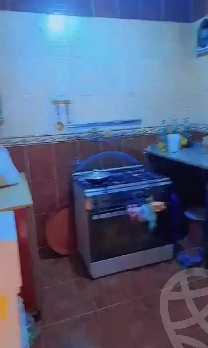 https://aqarmap.com.eg/en/listing/6000364-for-rent-cairo-ljyz-badrshein