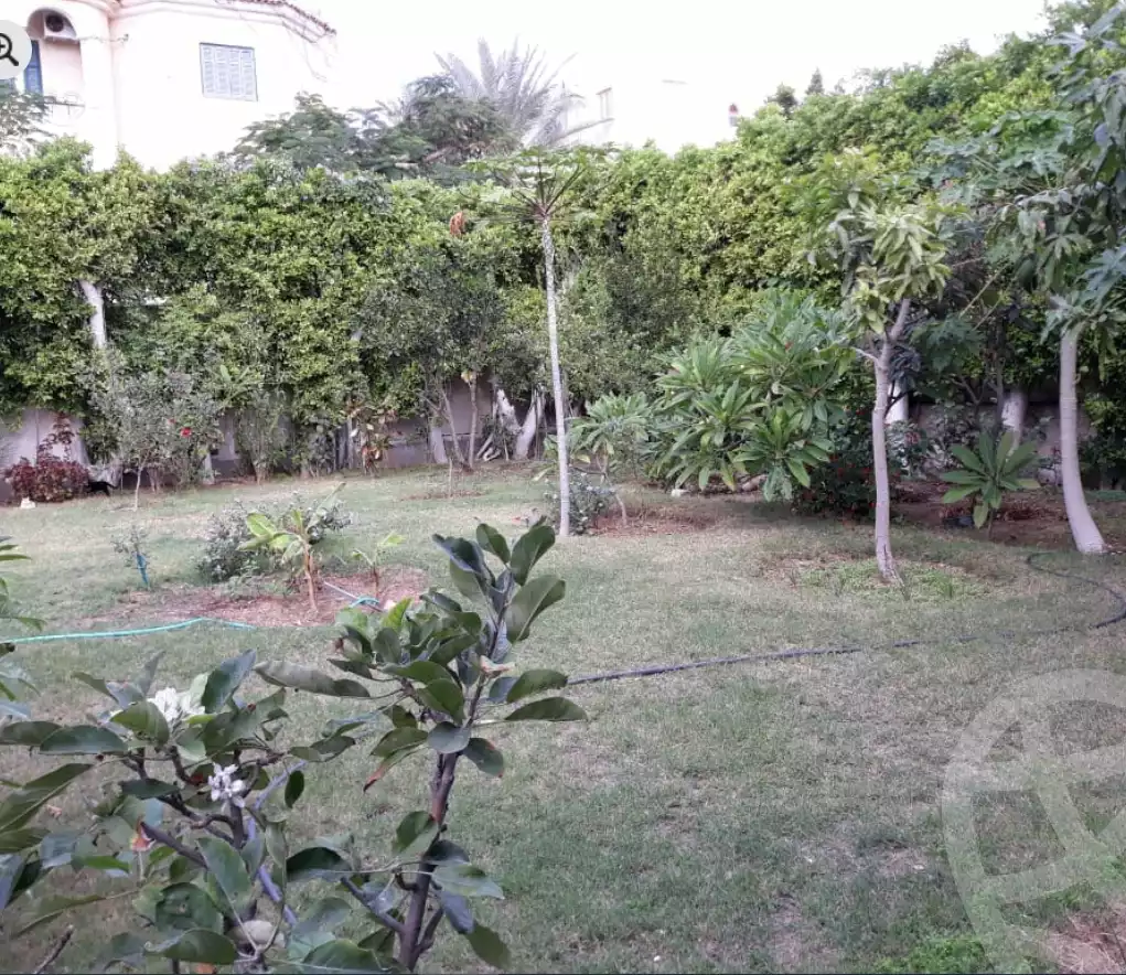 https://aqarmap.com.eg/ar/listing/6002038-for-sale-alexandria-l-jmy-bw-ywsf