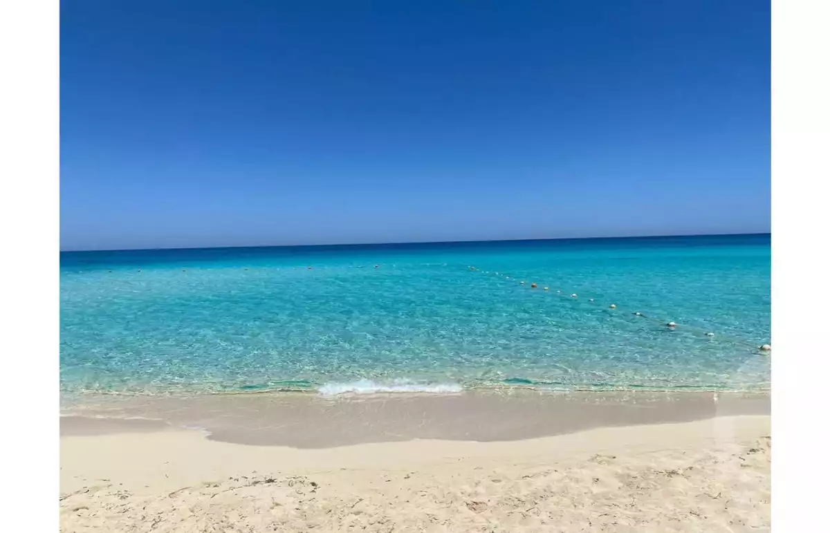 https://aqarmap.com.eg/ar/listing/6003629-for-sale-north-coast-resorts-marina-5