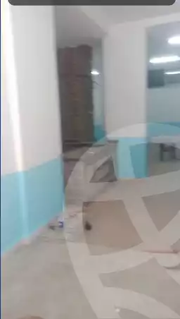 https://aqarmap.com.eg/en/listing/6004464-for-sale-cairo-faisal-el-lebeny