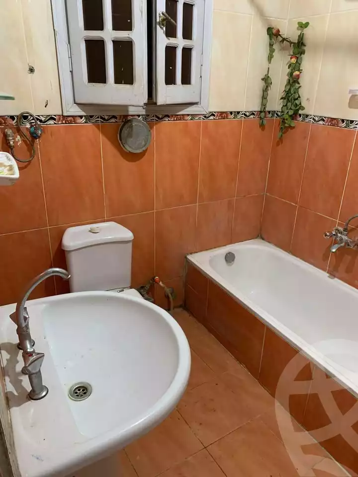 https://aqarmap.com.eg/en/listing/6004535-for-rent-cairo-el-haram-shareaa-el-haram