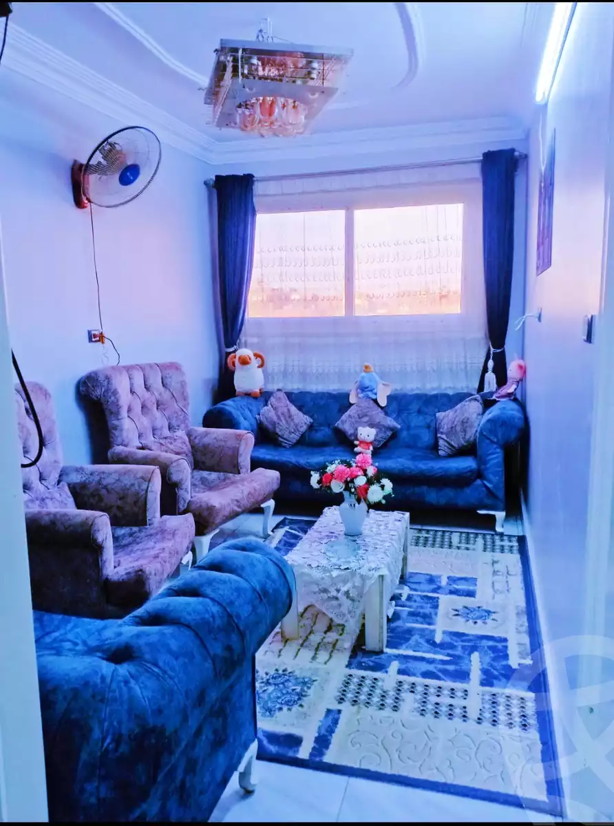 https://aqarmap.com.eg/en/listing/6006049-for-rent-cairo-ain-shams-yn-shms-lgrby-el-mashrooa-st