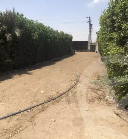 https://aqarmap.com.eg/en/listing/6007486-for-sale-qalyubia-qlioub-qlioub-city