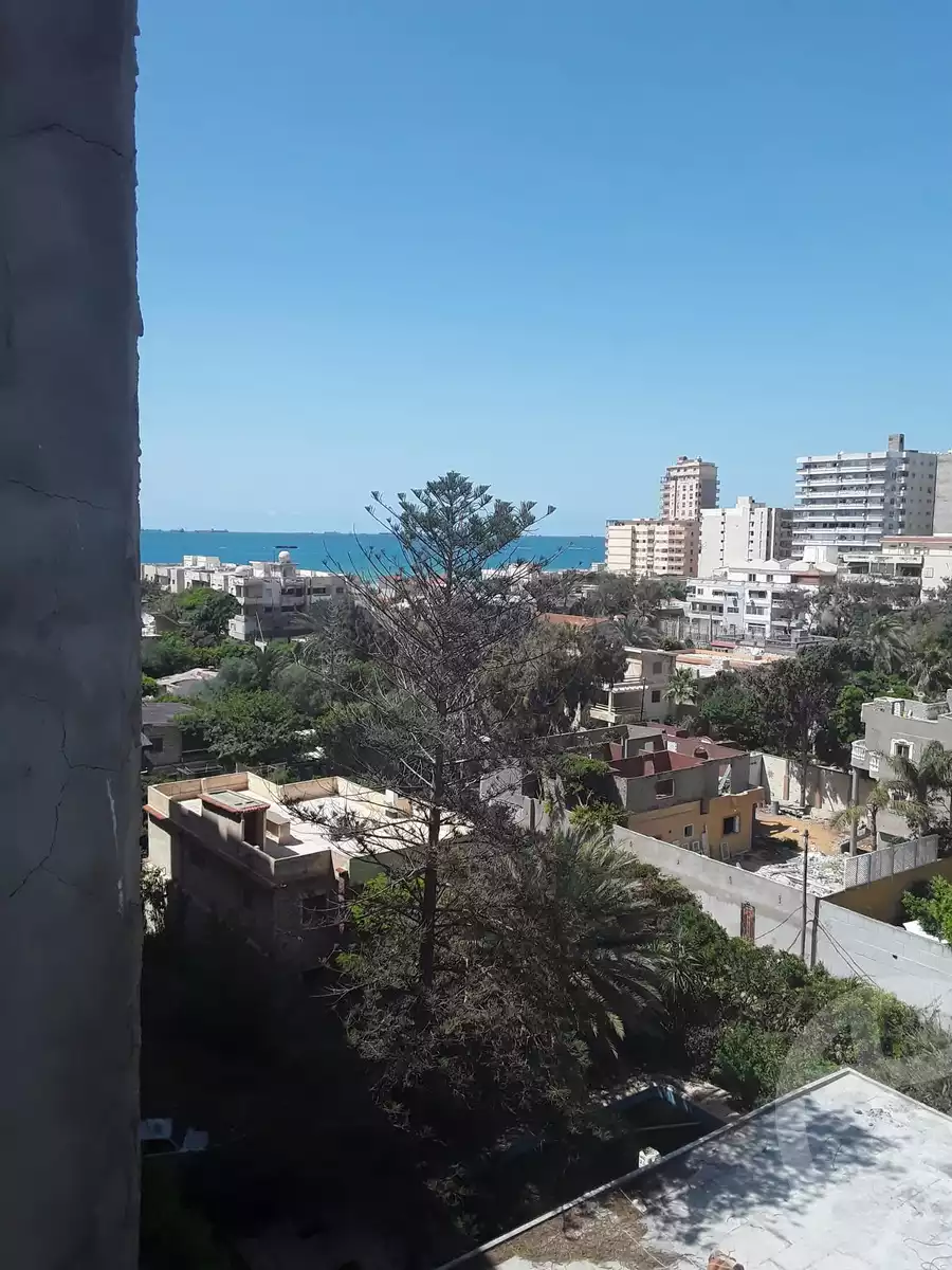 https://aqarmap.com.eg/en/listing/6007687-for-sale-alexandria-l-jmy-lbytsh-bianchiii