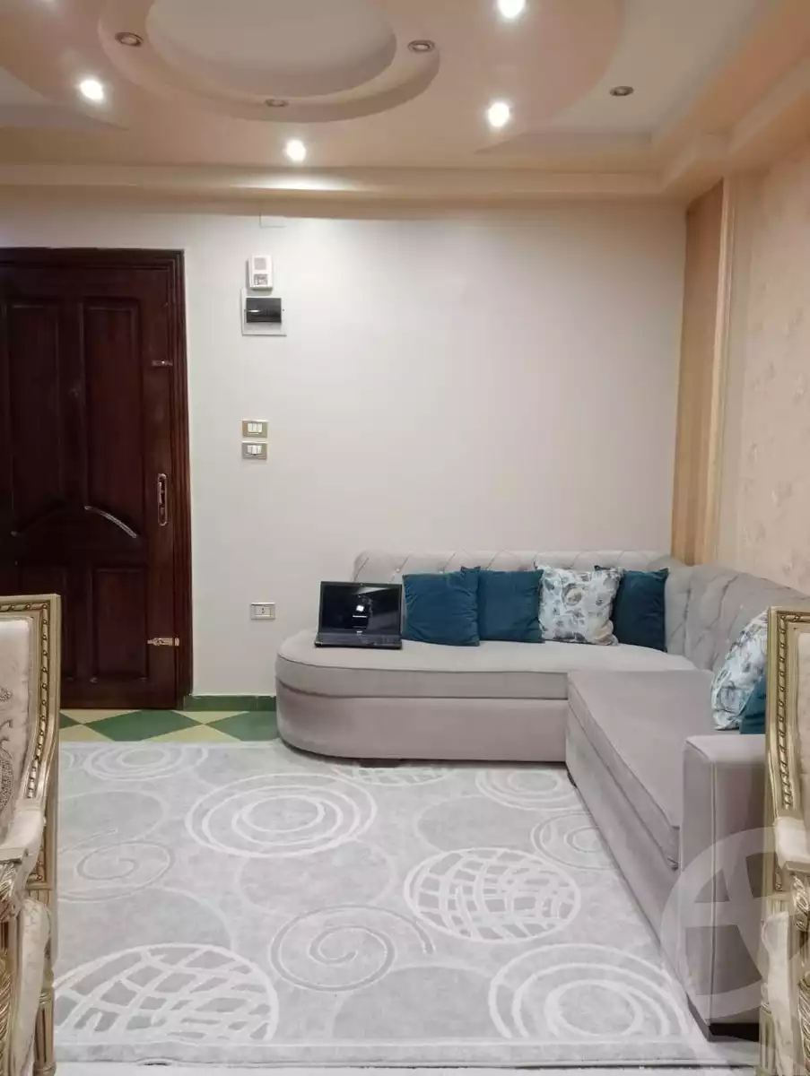 https://aqarmap.com.eg/en/listing/6010759-for-sale-alexandria-mansheya