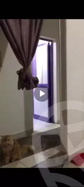 https://aqarmap.com.eg/en/listing/6011429-for-sale-cairo-faisal-hassan-mohamed-st