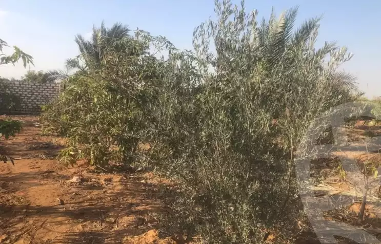 https://aqarmap.com.eg/en/listing/6014475-for-sale-suez-suez-city