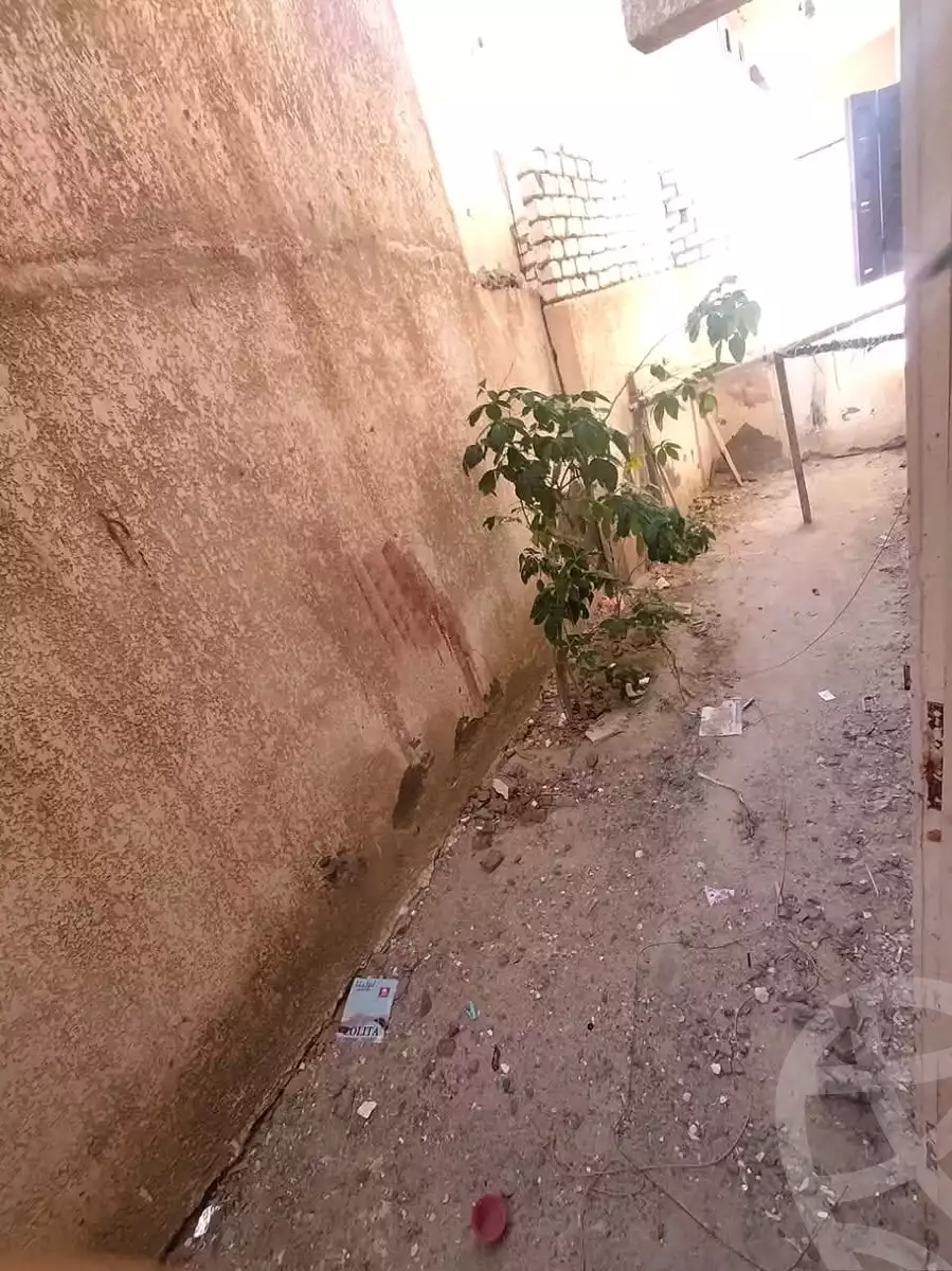 https://aqarmap.com.eg/ar/listing/6015961-for-sale-alexandria-l-jmy-lbytsh-el-hay-st