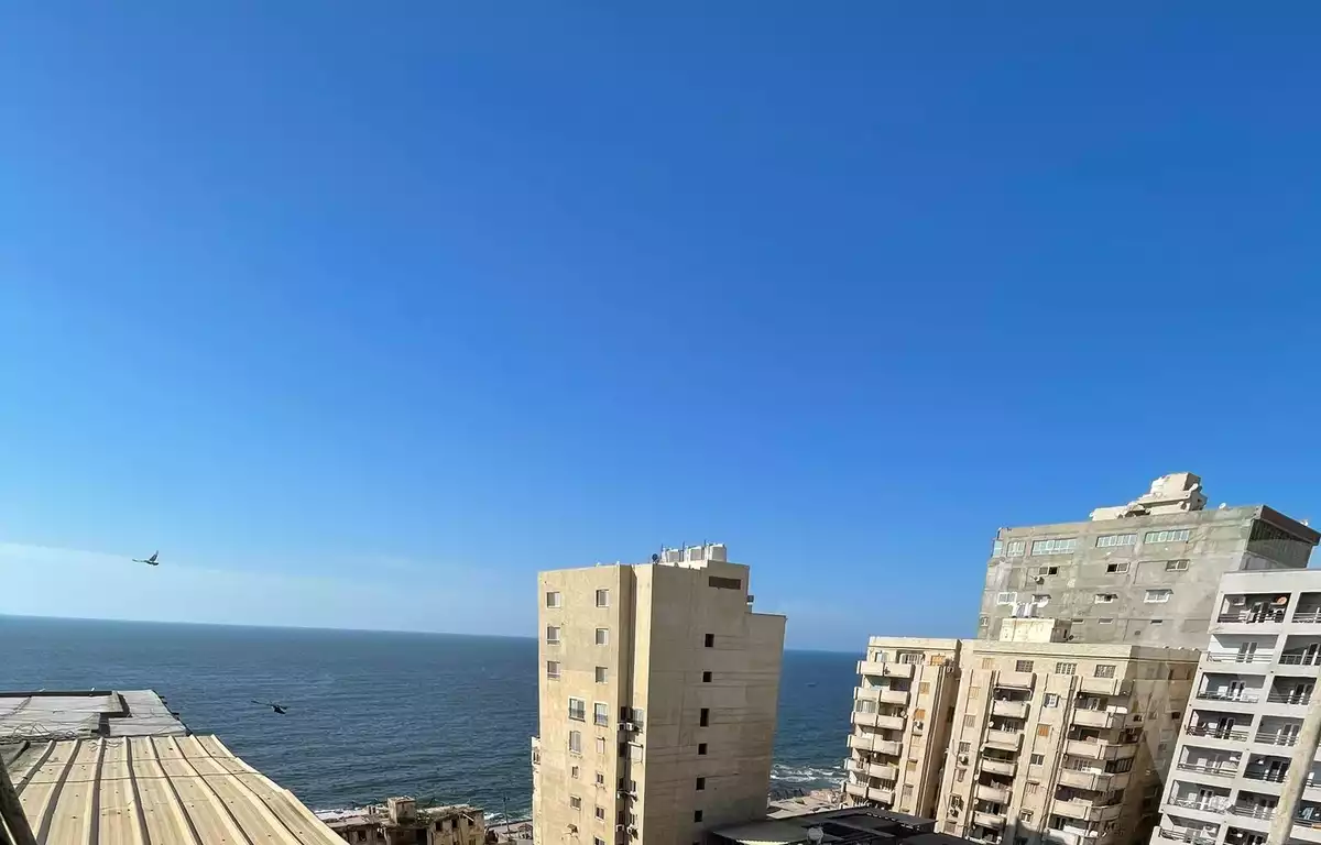 https://aqarmap.com.eg/en/listing/6018477-for-sale-alexandria-ibrahimia-port-said-street
