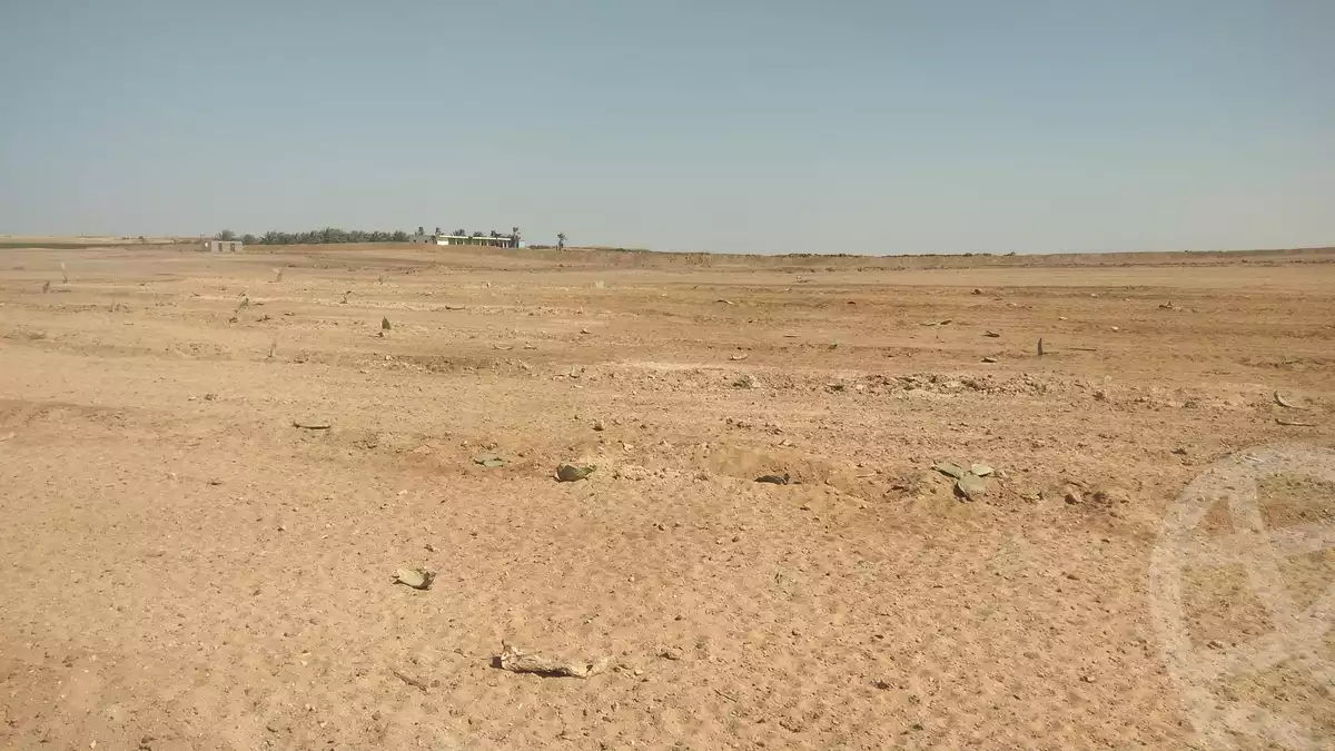 https://aqarmap.com.eg/en/listing/6019857-for-sale-beheira-wadi-el-natrun