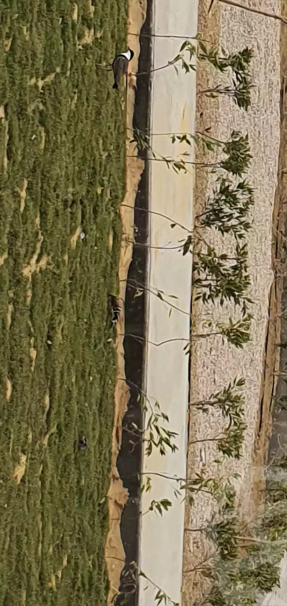 https://aqarmap.com.eg/en/listing/6020229-for-sale-ras-sidr-ras-sidr-resorts-mousa-coast-resort