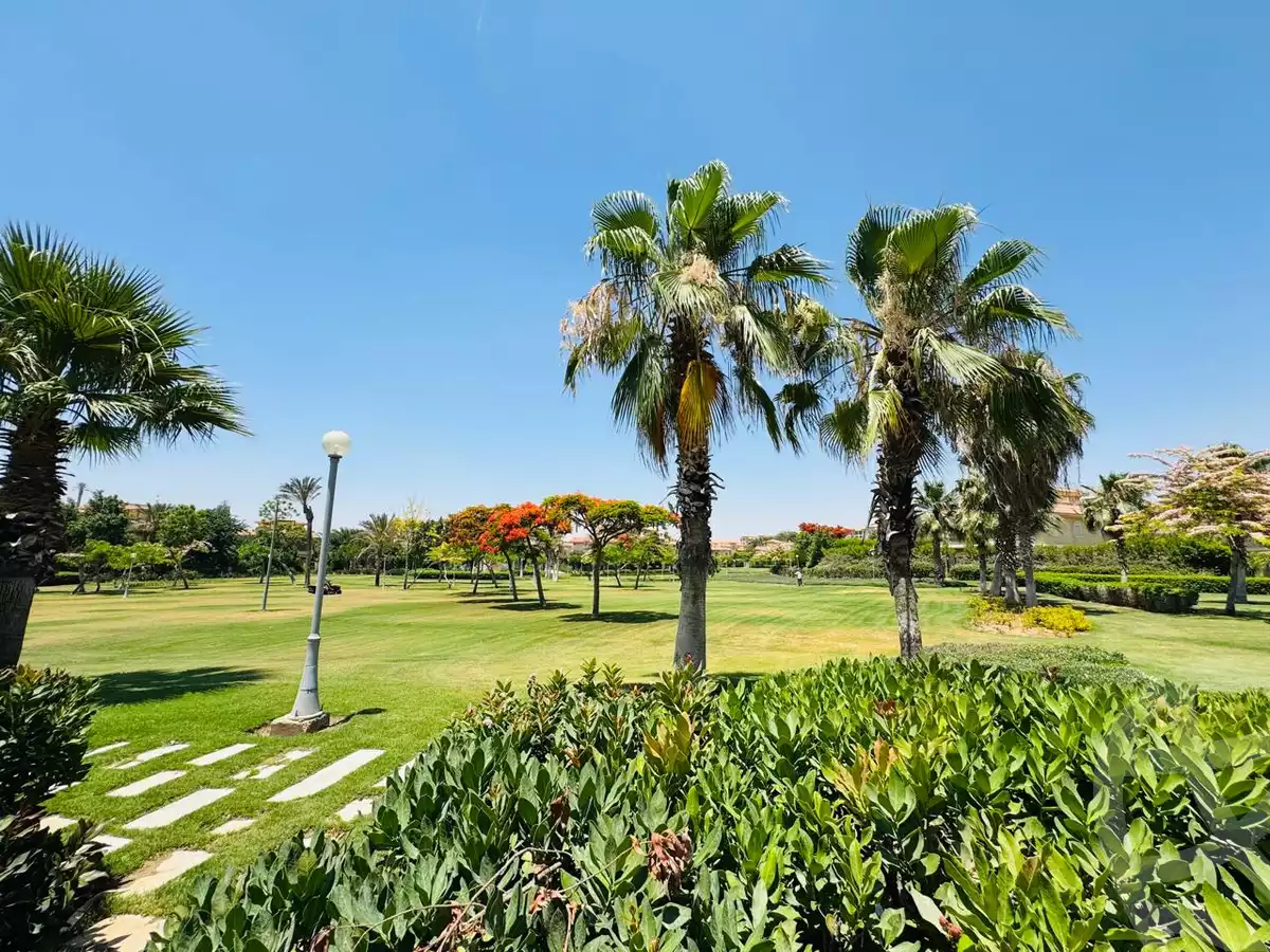 https://aqarmap.com.eg/en/listing/6020691-for-rent-cairo-new-cairo-madinaty-lmntq-lthnyh-fylt-group-11