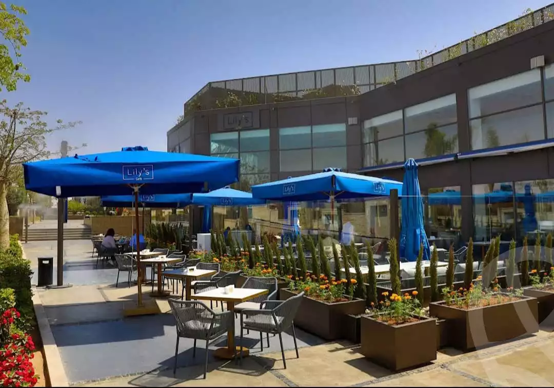 https://aqarmap.com.eg/en/listing/6023087-for-rent-cairo-el-sheikh-zayed-city-compounds-walk-of-cairo-mall
