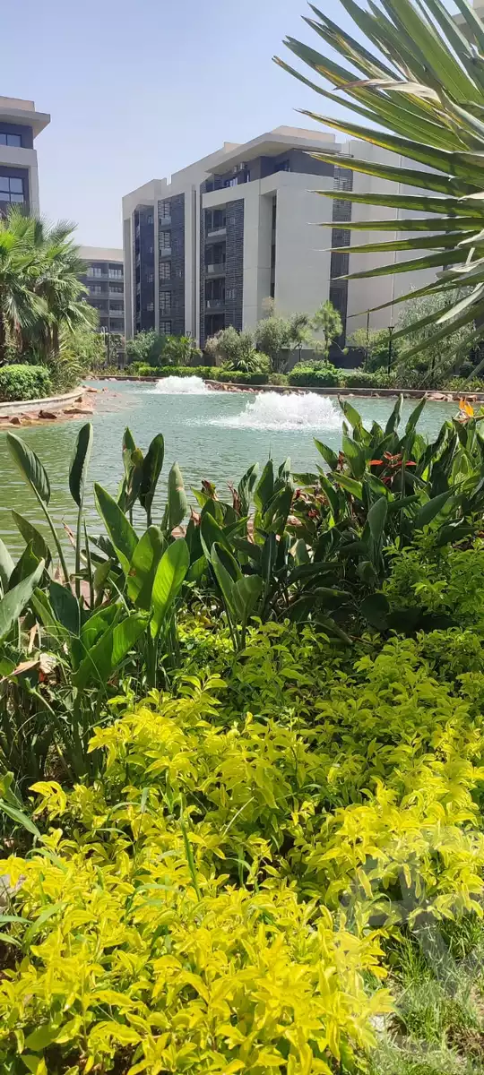 https://aqarmap.com.eg/en/listing/6024339-for-sale-cairo-new-cairo-madinaty-bryfdw