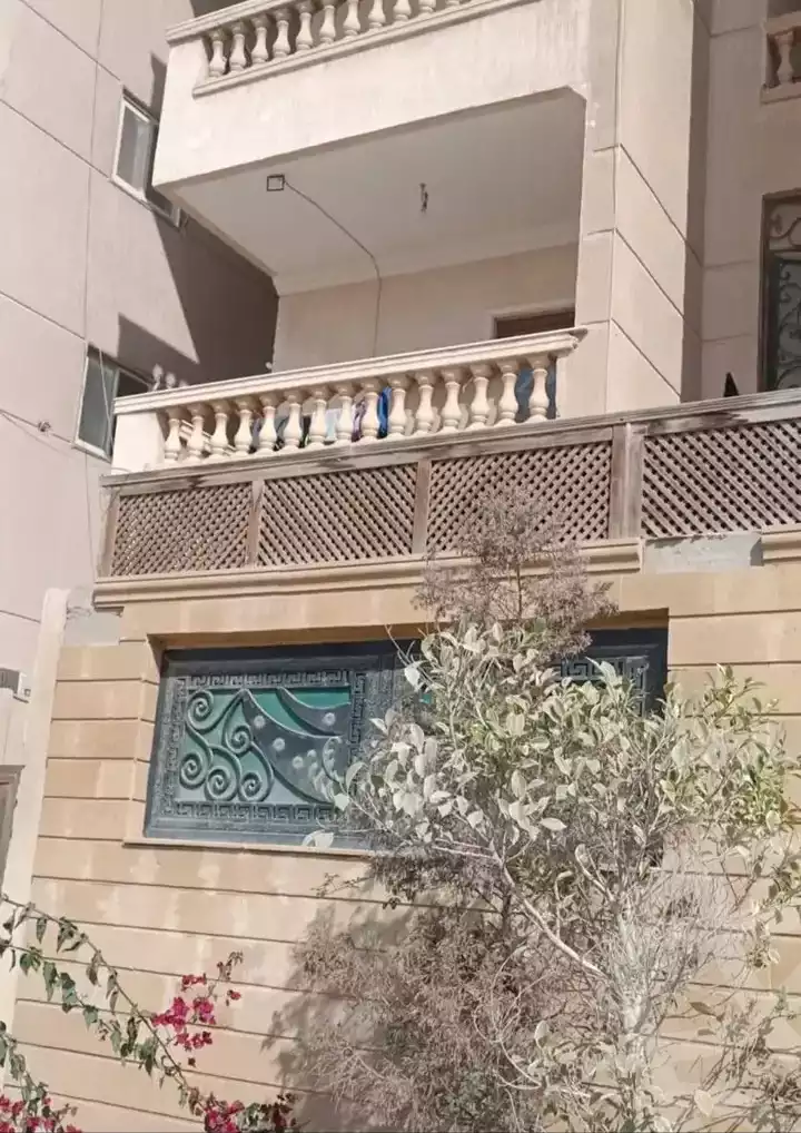 https://aqarmap.com.eg/en/listing/6025431-for-sale-cairo-hadayek-el-ahram-el-gaish-st